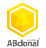 ABclonal Technology