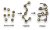 Amino Acids, Peptides and Proteins