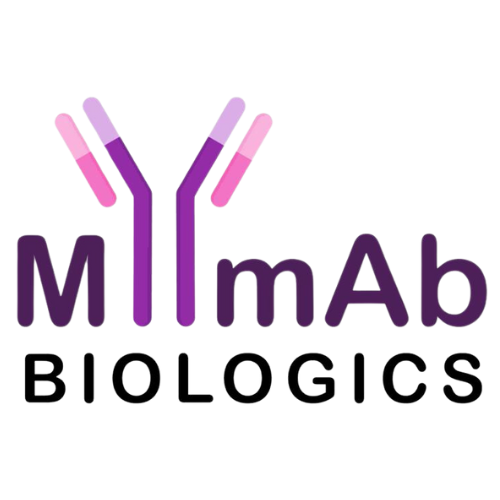 mYmAb Logo