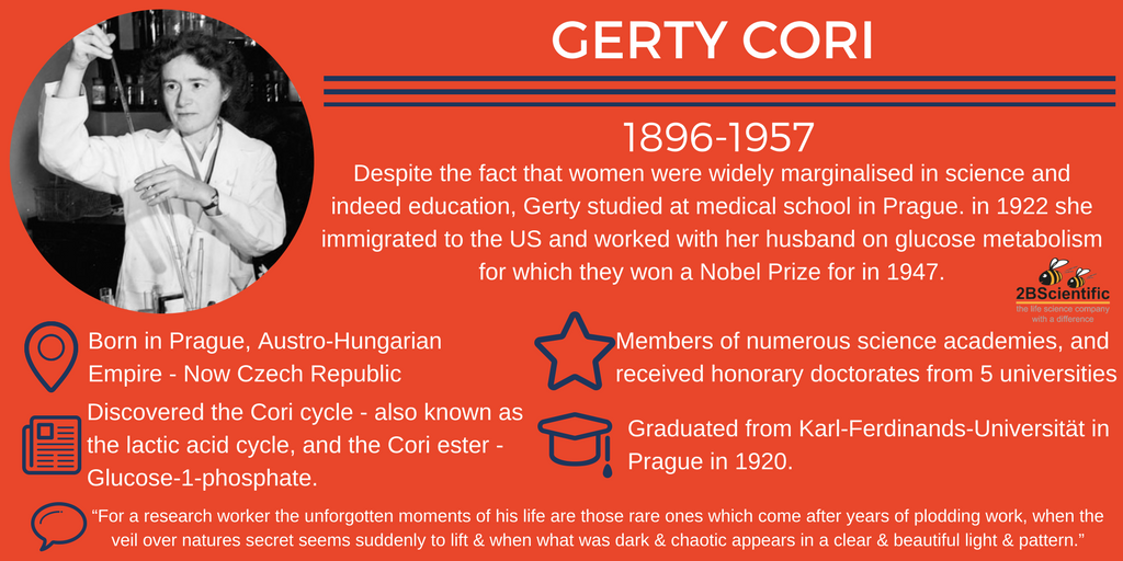 Gerty-Cori.png