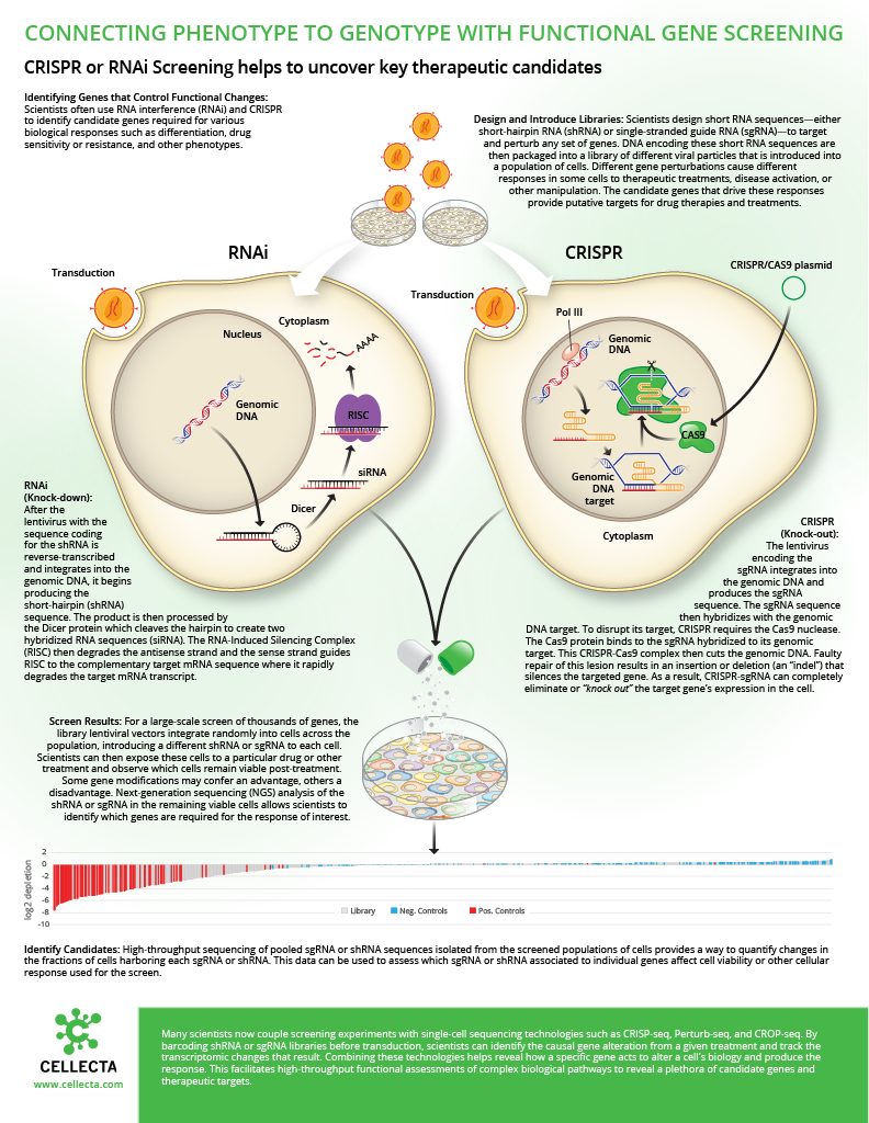 Difference Between CRISPR knockout screens and RNAi