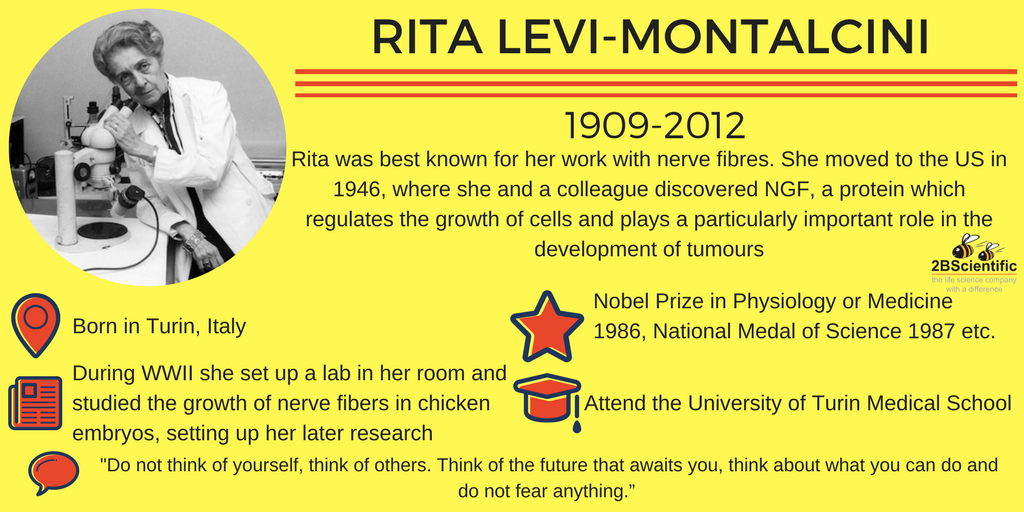 RITA-LEVI-MONTALCINI.png
