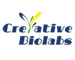 Creative Group