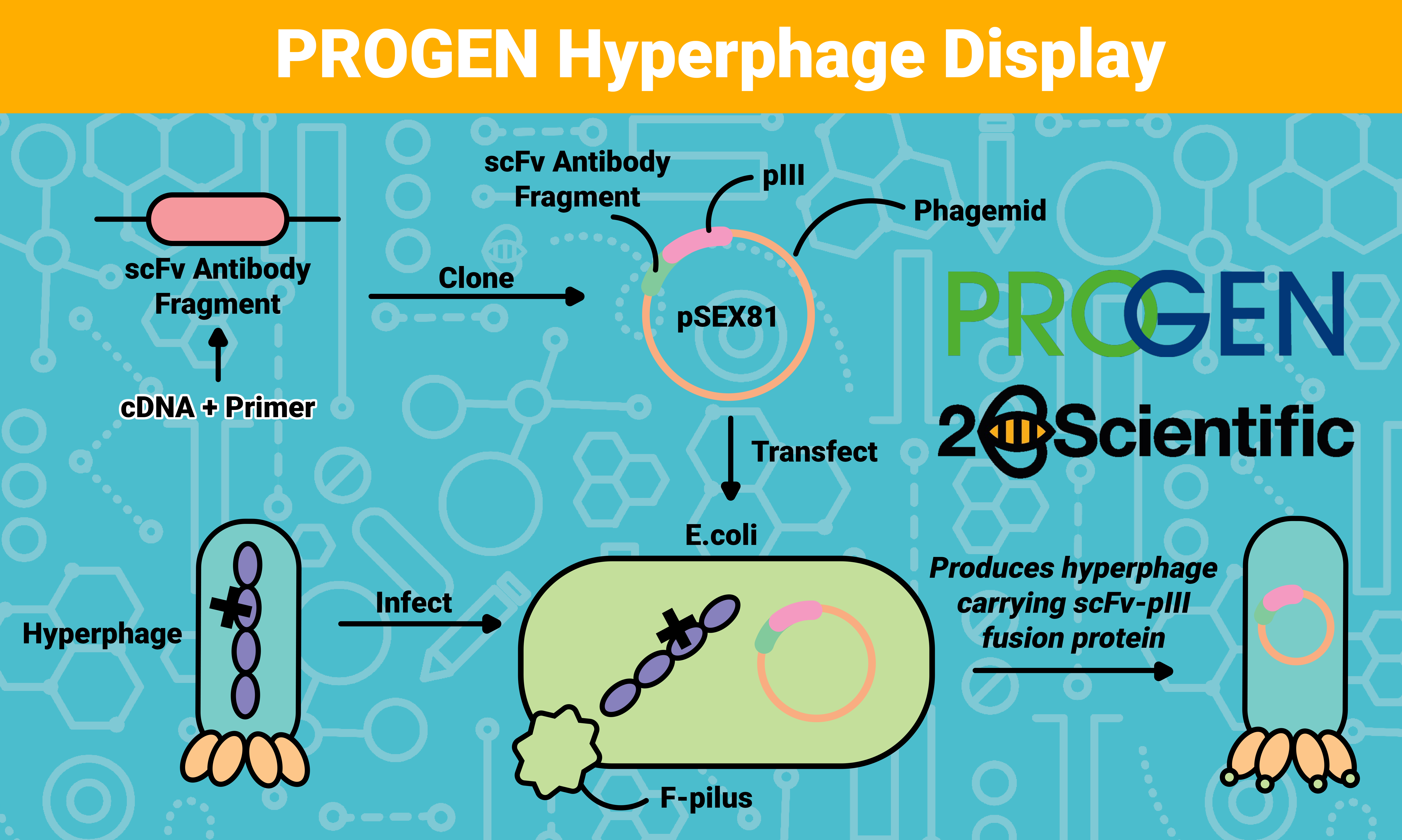Hyperphage