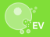 Extracellular Vesicles