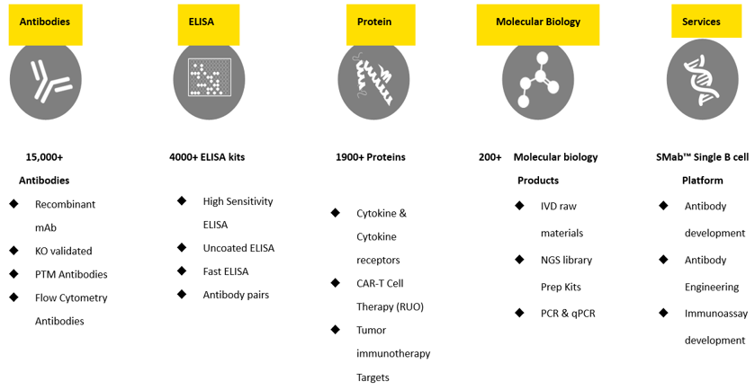 Product Portfolio