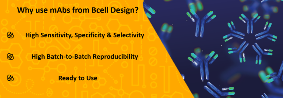 Bcell design