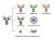 Recombinant Coronavirus Antibodies