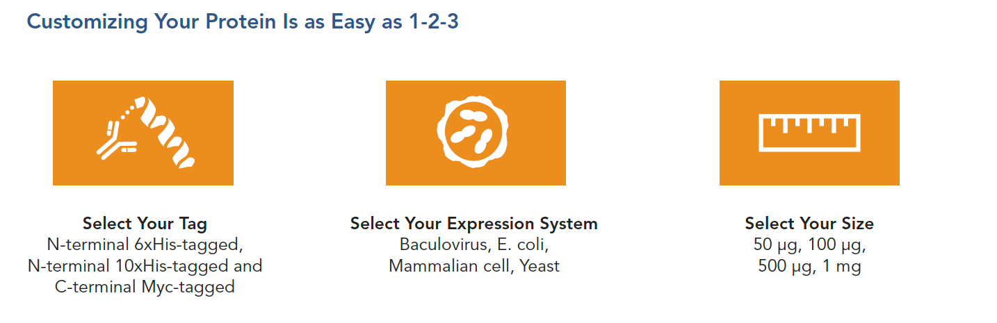 Customising your protein is easy!