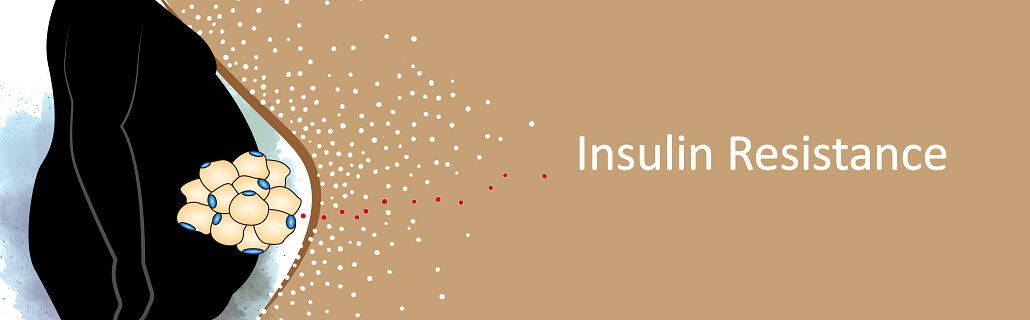 Insulin