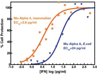 Antiviral Activity Comparison of Mouse IFN Alpha A and IFN Alpha 4