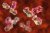 More about InVivo Biotech