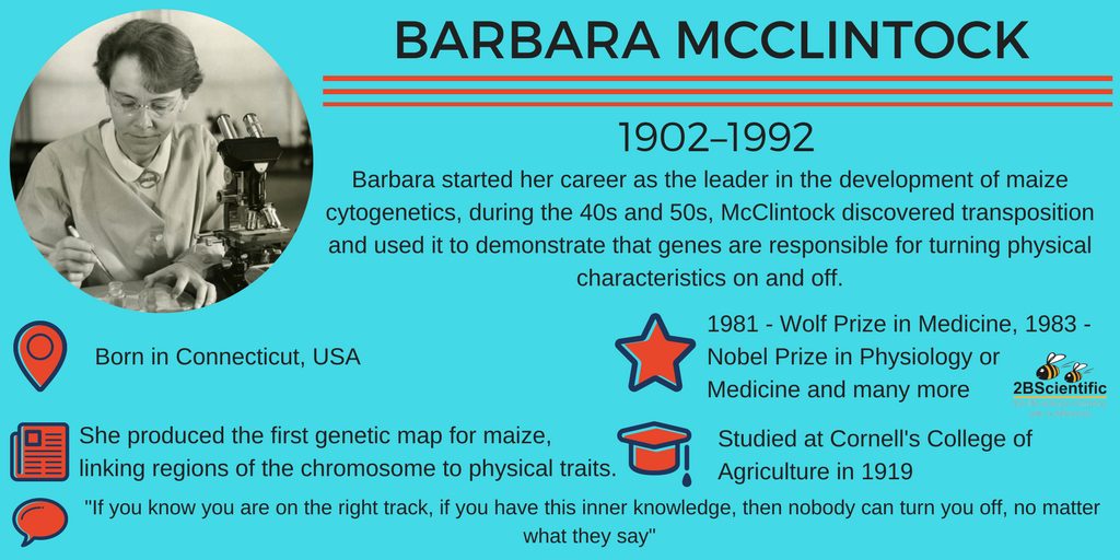 Barbara-McClintock.png
