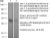Binding Validation