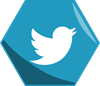 Twitter-Footer-Icon