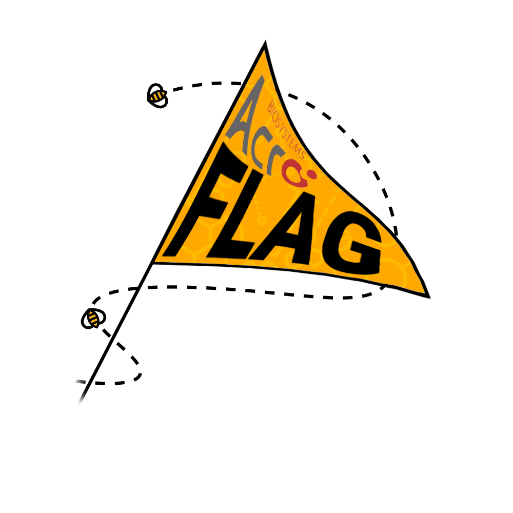 Acro FLAG