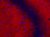 PSD95 antibody