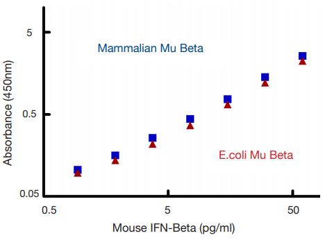 Comparison of ELISA Reactivity of Mammalian and E.coli-expressed Mouse IFN Beta