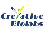 Creative Biolabs