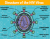 HIV and AIDS – What can 2BScientific do to assist your critical and lifesaving research?