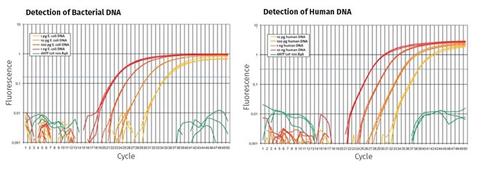 DNA