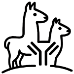 Llamatech Nanobody Solutions