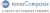 nanoComposix