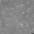 BxPC-3-Cells