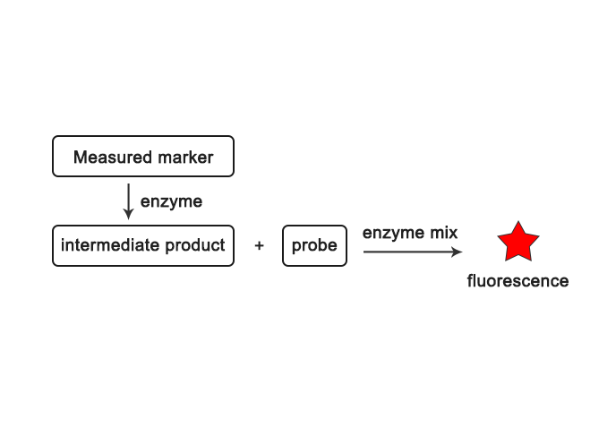 Fluorometric Kit VS Colorimetric Kit