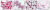 IHC-Services-Banner