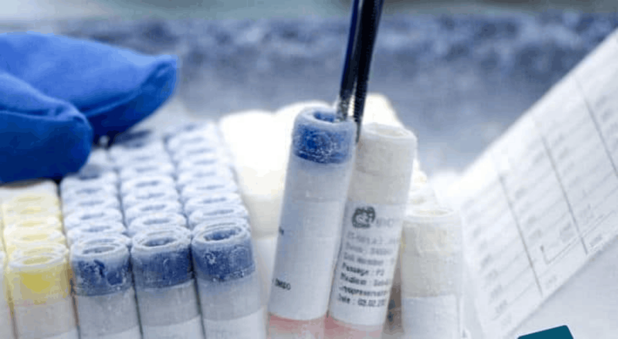 Biobank Image