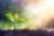 Global Plant Science Events Calendar