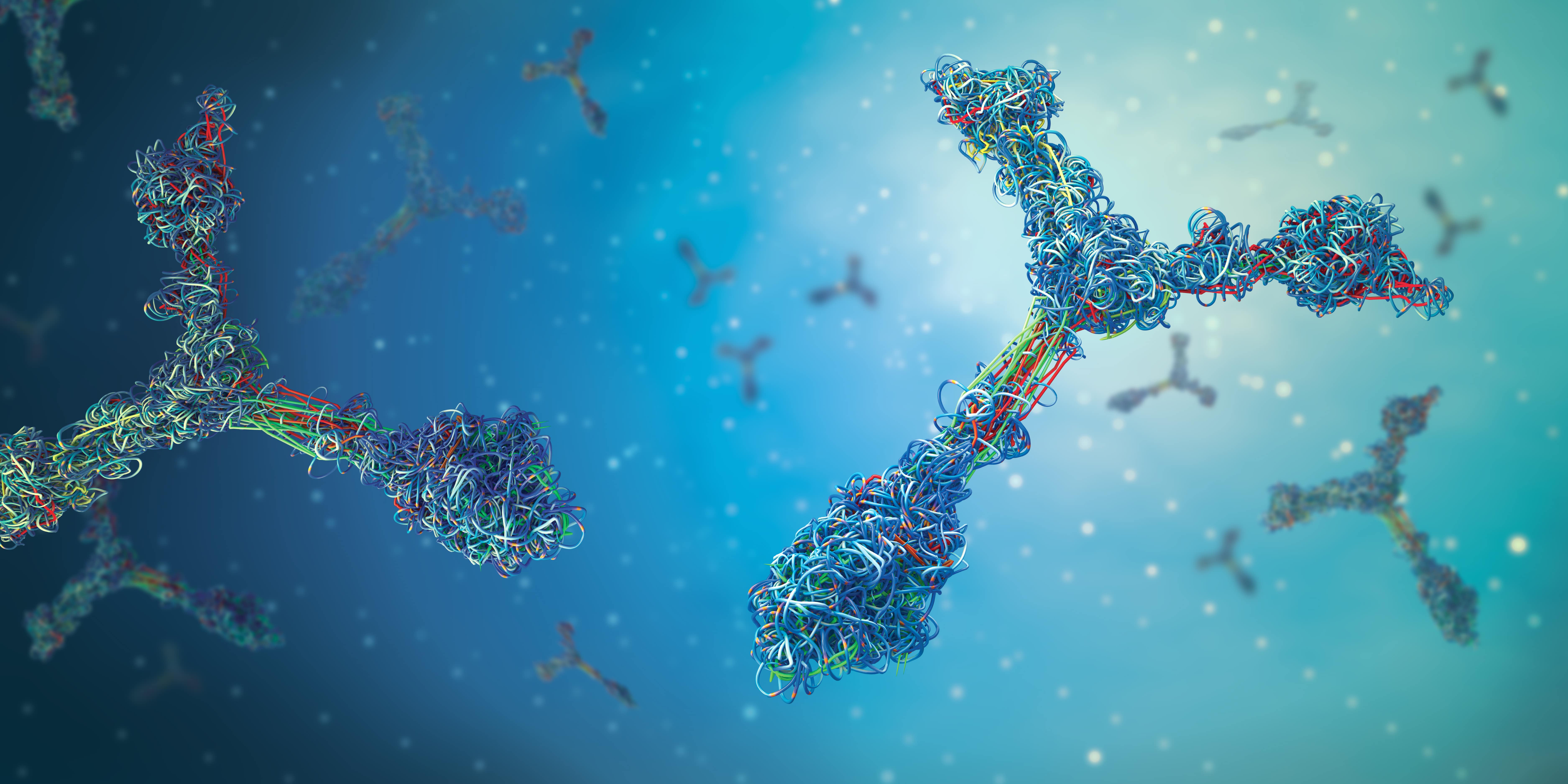 Antibody Stock Photo