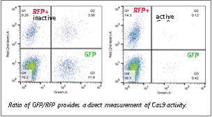 CRISPRtest™ Cas9 Assay Kits