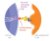 Unravel the dual nature of type I interferons in CAR-T cell therapy with PBL Assay Sciences!