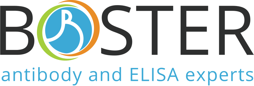Boster Bio