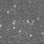 LN229-Cells