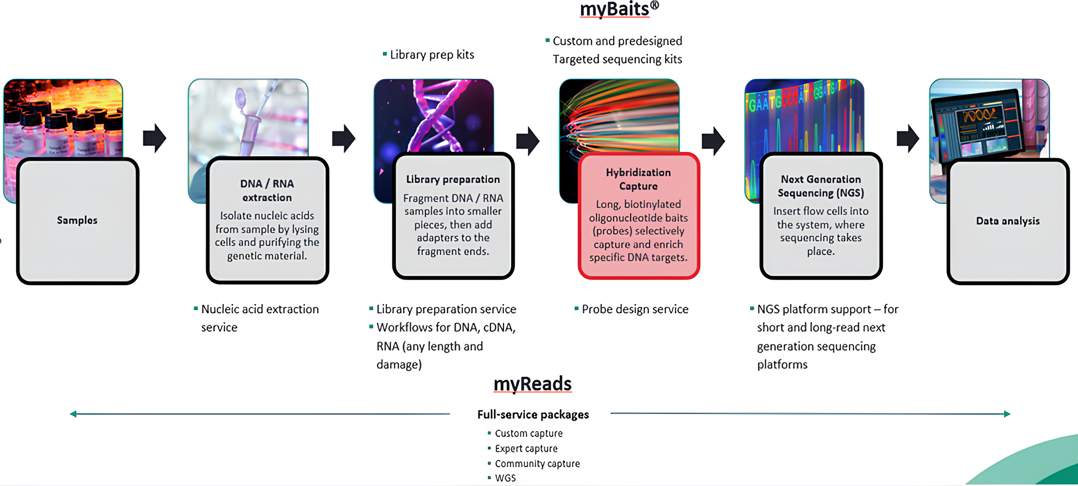 MyBaits Workflow