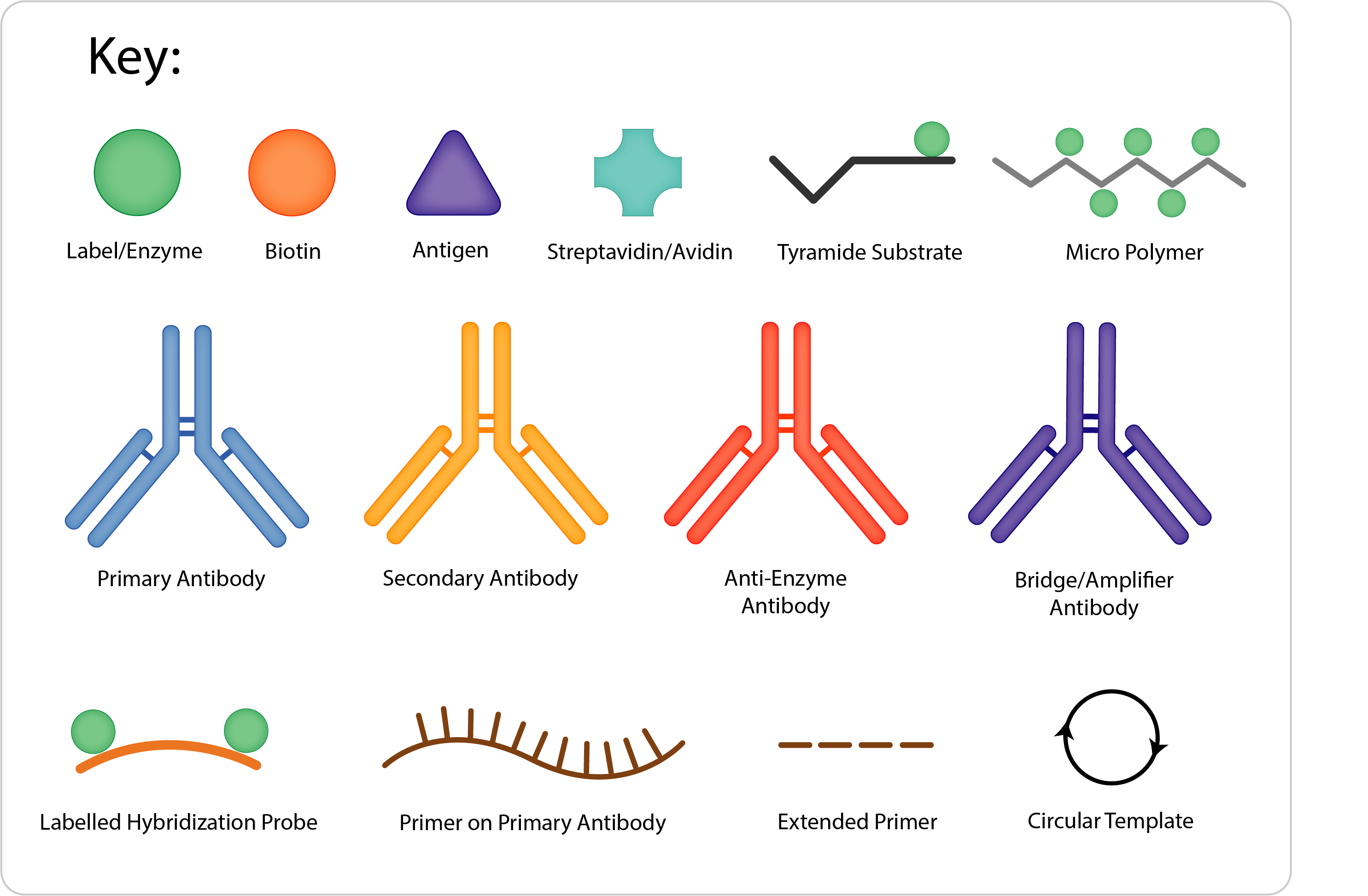 Detection Methods Key