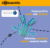 High-Purity Antibodies and Recombinant Proteins for Reliable In Vivo Research