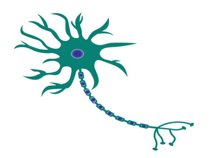 Membrane Markers