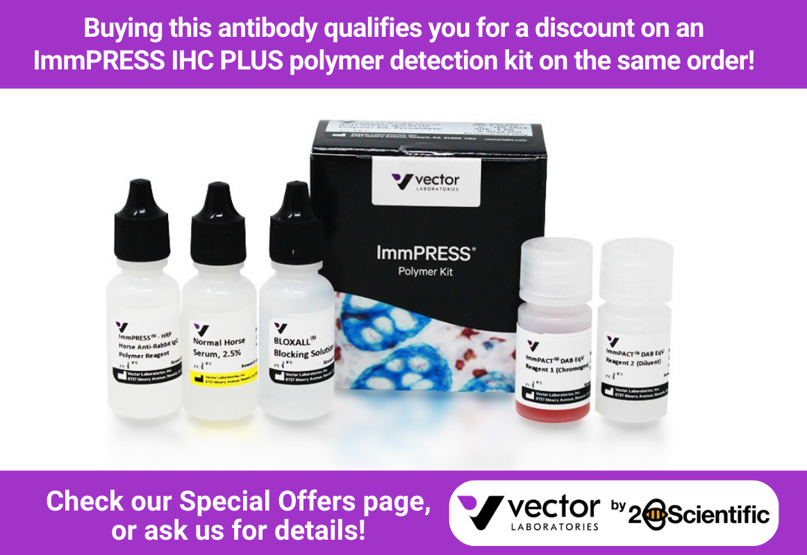 Vector LSBio Offer Image