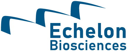 Echelon Logo