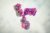 Antibody-3