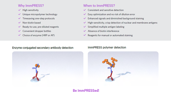 ImPRESS Polymer Detection Polymer