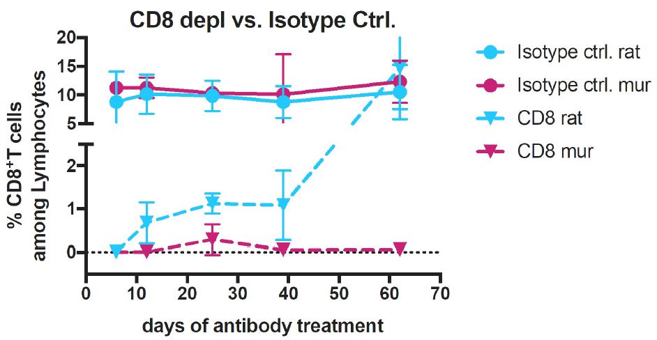 CD8 T cells depletion vs Isotype control