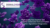 Reporter molecules