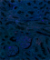 What is Proximity Ligation Assay?