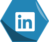 Linkedin-Footer-Icon