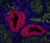 Bioconjugation